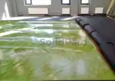 3 666666666666666
